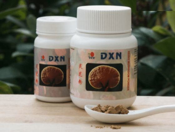 ماهو الفطر الريشي DXN (الجانوديرما) فوائده واستخدامه وهل له ...
